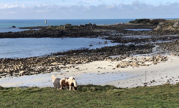 Découvrez les Meilleures Expériences en Camping Finistère 3 Étoiles pour vos Vacances en Plein Air