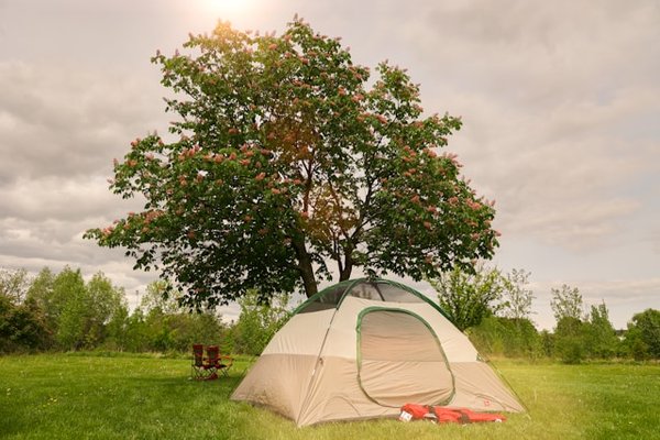 Vacances inédites en camping 3 étoiles à St Tropez