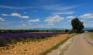 évasion nature en provence